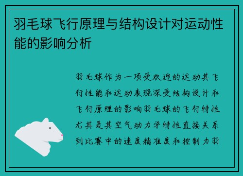 羽毛球飞行原理与结构设计对运动性能的影响分析
